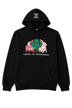 Load image into Gallery viewer, Control The Controllables Hoodie